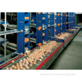 Automatic Egg Collecting Equipment